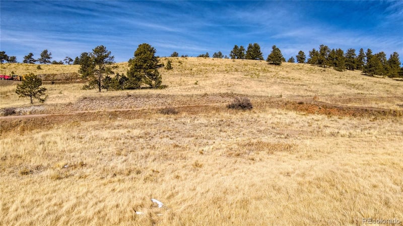 150 High Pasture Rd, Florissant, CO 80816