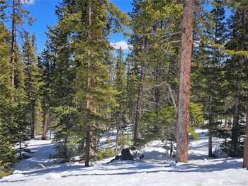 318 El Lobo Ln, Fairplay, CO 80440