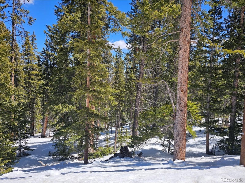 318 El Lobo Ln, Fairplay, CO 80440