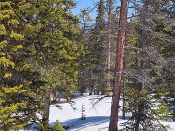 318 El Lobo Ln, Fairplay, CO 80440