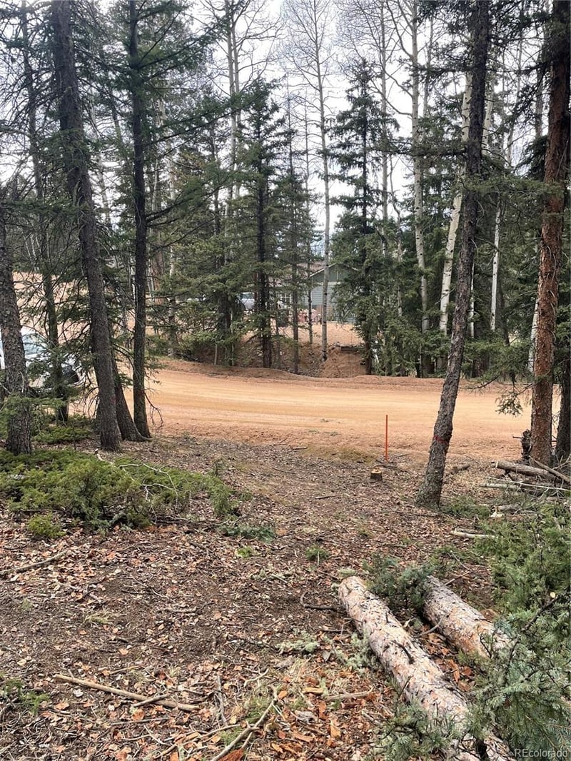 222 Banner Trl, Florissant, CO 80816