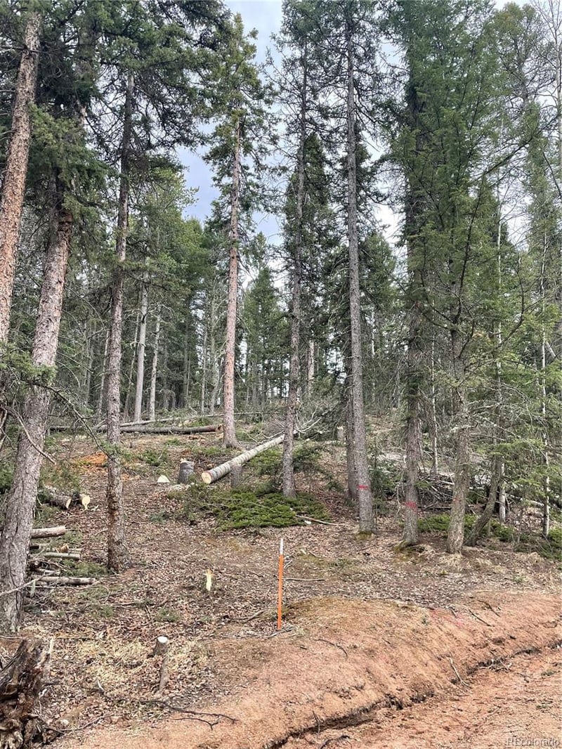222 Banner Trl, Florissant, CO 80816