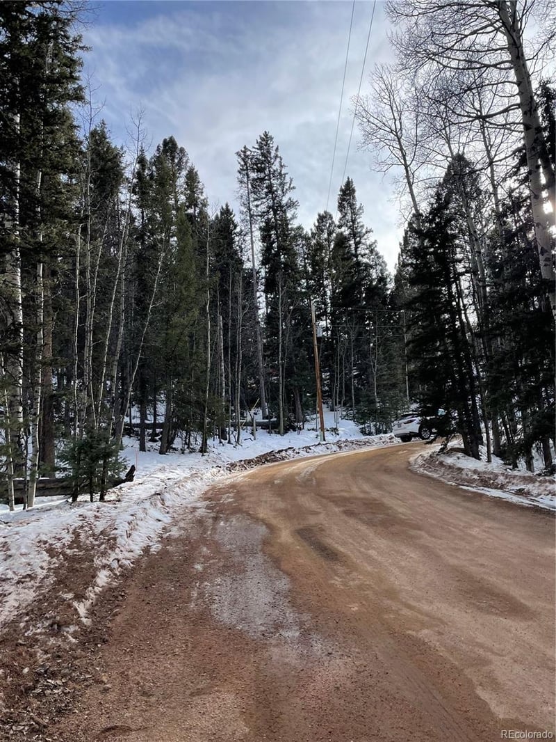 222 Banner Trl, Florissant, CO 80816