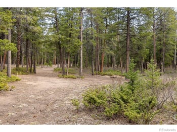 1st St, Nederland, CO 80466