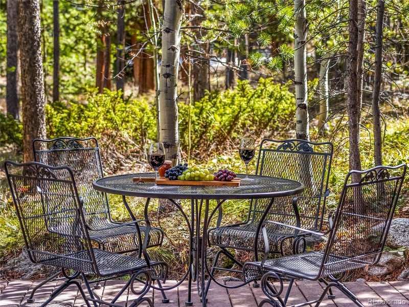 1793 Falcon Dr, Silverthorne, CO 80498