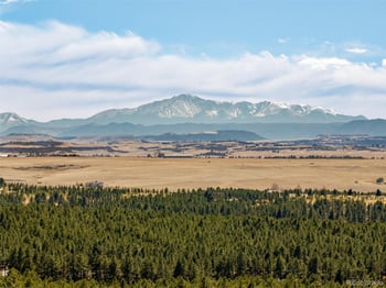 591 Nob Hill Trl, Franktown, CO 80116