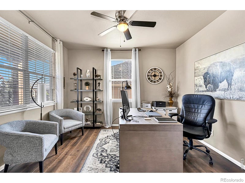 2169 Longfin Dr, Windsor, CO 80550