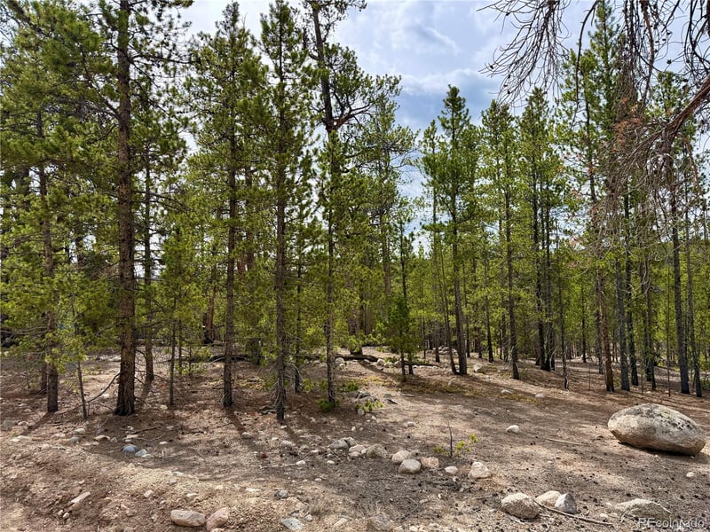360 Peak View Dr, Leadville, CO 80461