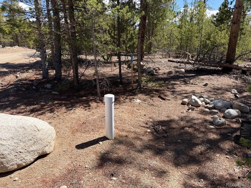 360 Peak View Dr, Leadville, CO 80461