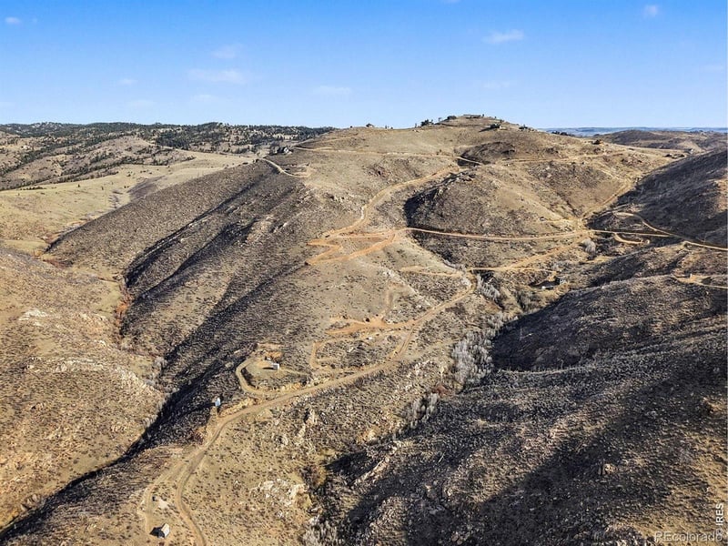 1634 Horse Mountain Dr, Livermore, CO 80536