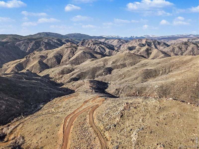 1634 Horse Mountain Dr, Livermore, CO 80536