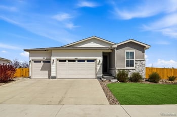 4461 Rapport Dr, Castle Rock, CO 80104