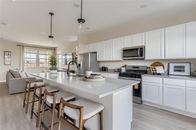 13323 Ladybug Ln, Firestone, CO 80504