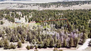 1980 Pitchfork Rd, Hartsel, CO 80449