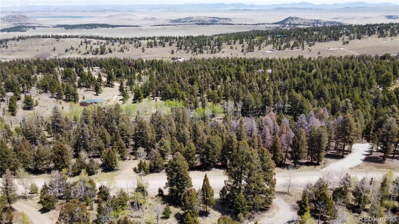 1980 Pitchfork Rd, Hartsel, CO 80449