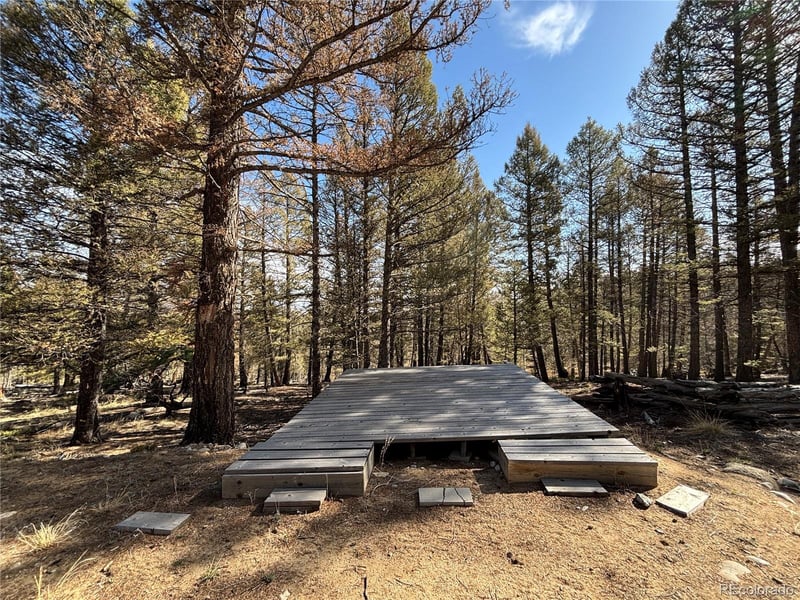 1980 Pitchfork Rd Lot 1251, Hartsel, CO 80449