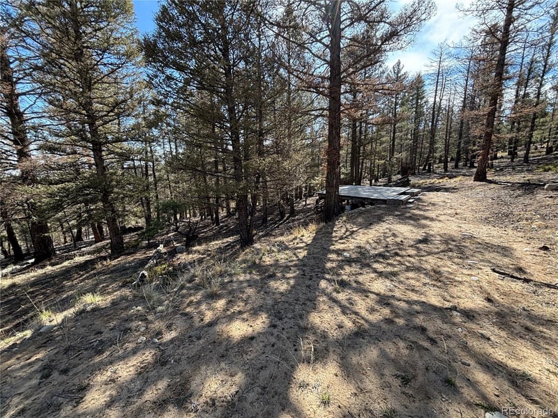 1980 Pitchfork Rd Lot 1251, Hartsel, CO 80449