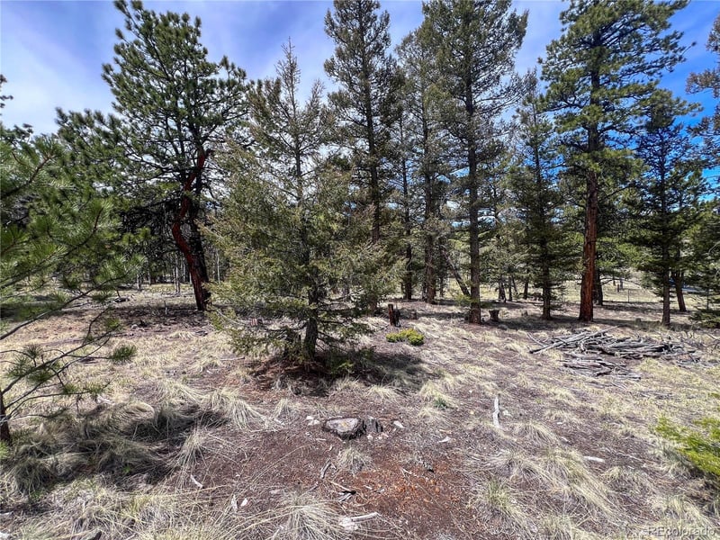 1980 Pitchfork Rd Lot 1251, Hartsel, CO 80449