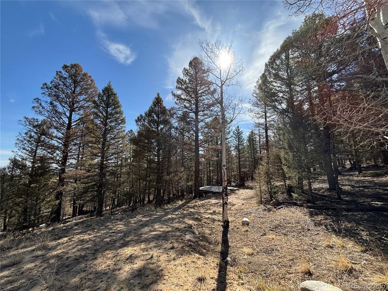 1980 Pitchfork Rd Lot 1251, Hartsel, CO 80449