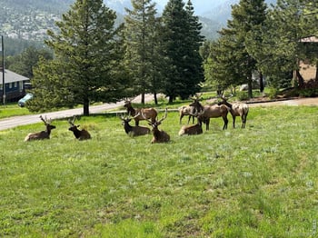 48 Button Rock Rd, Lyons, CO 80540