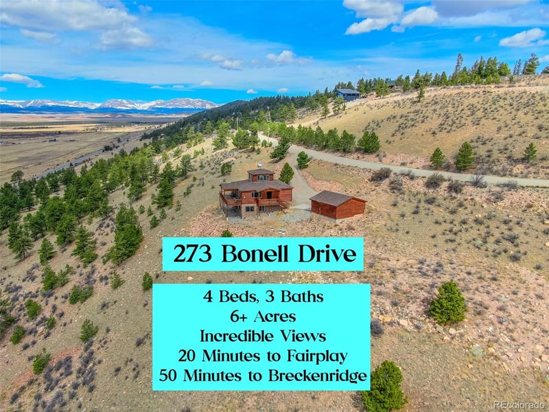 273 Bonell Dr, Fairplay, CO 80440