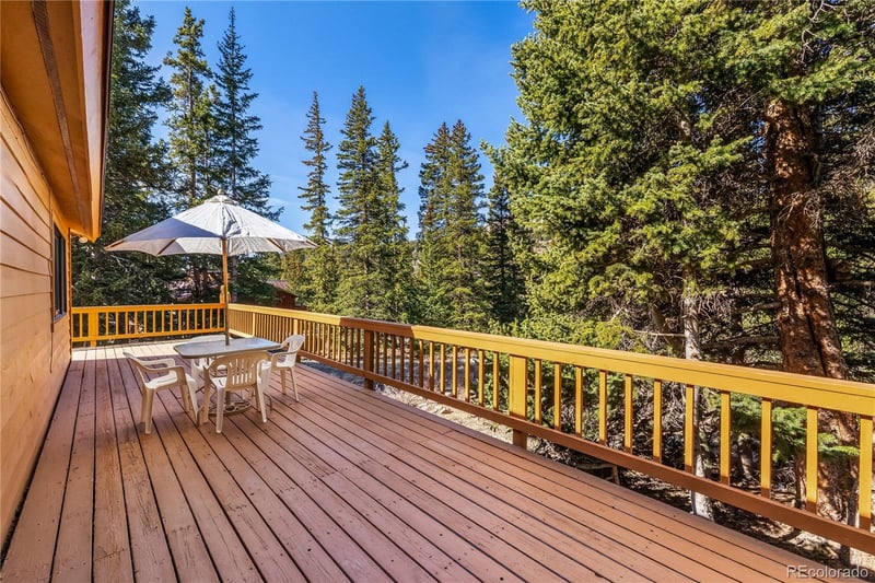 235 Nuthatch Dr, Alma, CO 80420