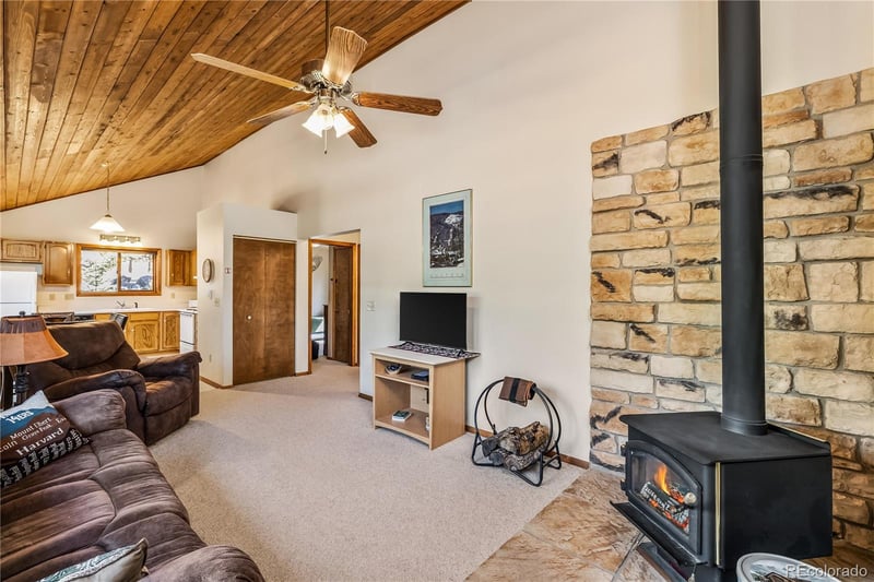 235 Nuthatch Dr, Alma, CO 80420