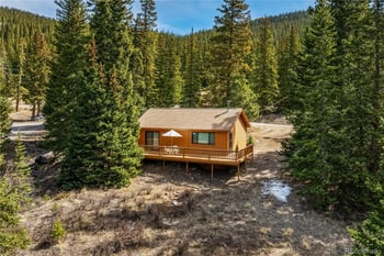 235 Nuthatch Dr, Alma, CO 80420