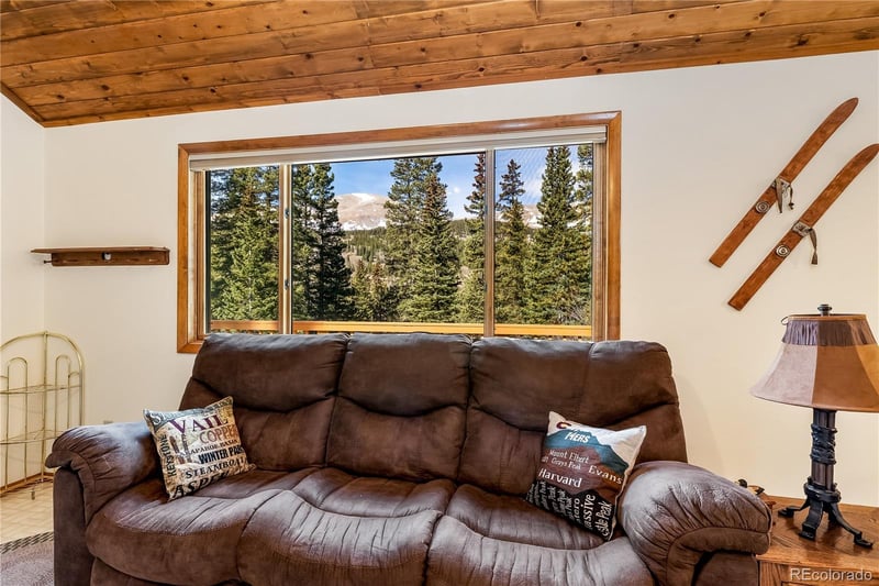 235 Nuthatch Dr, Alma, CO 80420