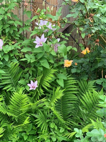 221 Magnolia St, Denver, CO 80220