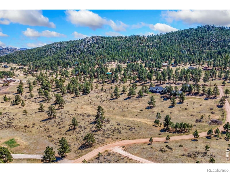 126 Cucharas Mountain Dr, Livermore, CO 80536