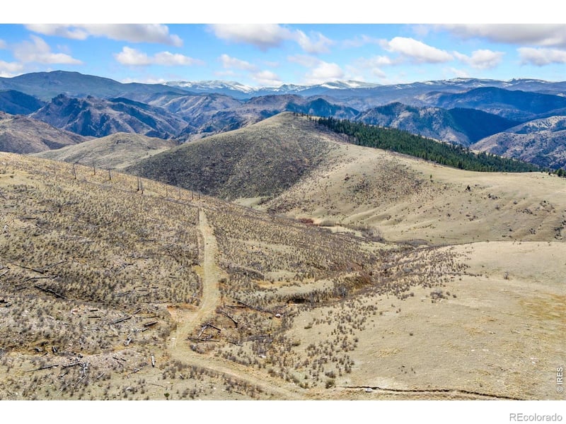 170 Little Bald Mountain Ct, Livermore, CO 80536