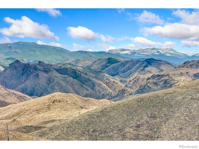 170 Little Bald Mountain Ct, Livermore, CO 80536