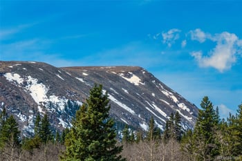 2491 Cr 12 , Alma, CO 80420