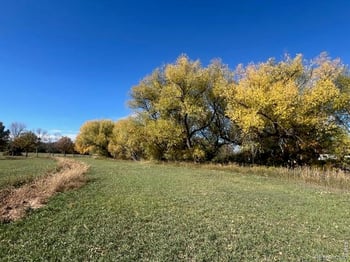 2916 N Shields St, Fort Collins, CO 80524