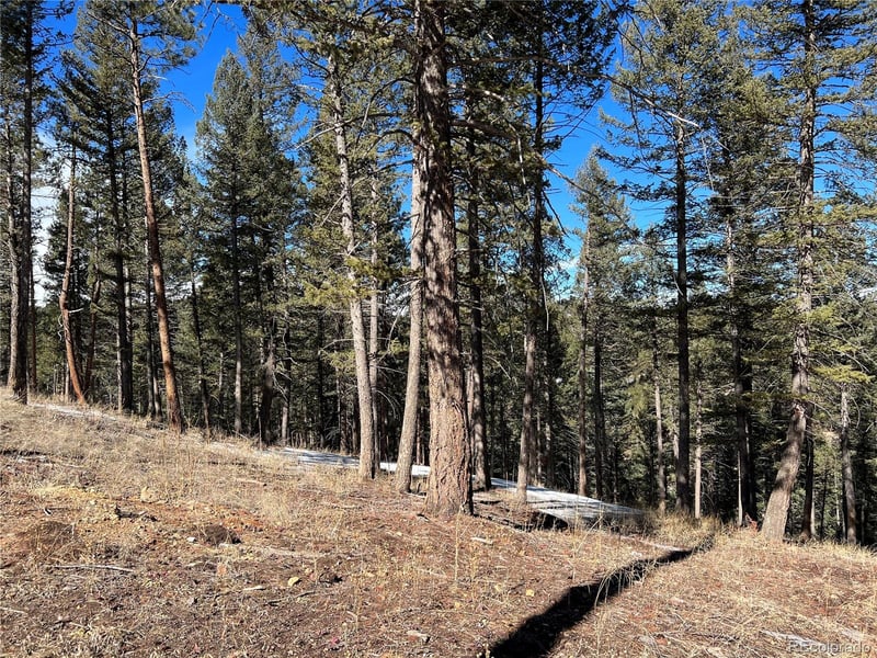 7871 Gold Rush, Morrison, CO 80465