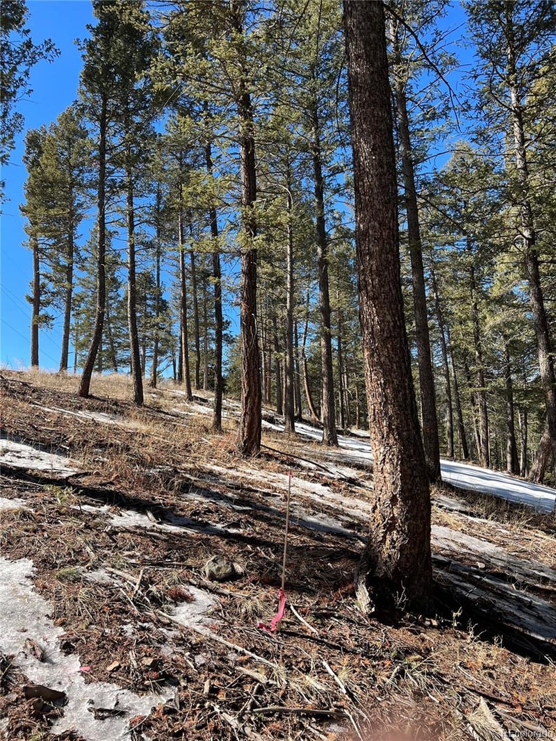 7871 Gold Rush, Morrison, CO 80465