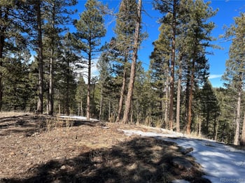 7871 Gold Rush, Morrison, CO 80465