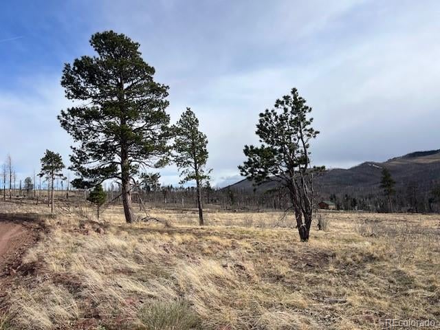 Lot 1020 - 1021 Hassan Ln, Fort Garland, CO 81133