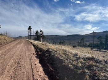 Lot 1020 - 1021 Hassan Ln, Fort Garland, CO 81133