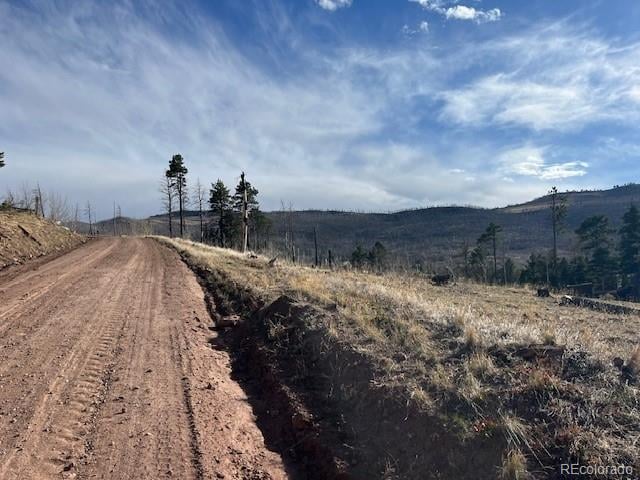 Lot 1020 - 1021 Hassan Ln, Fort Garland, CO 81133