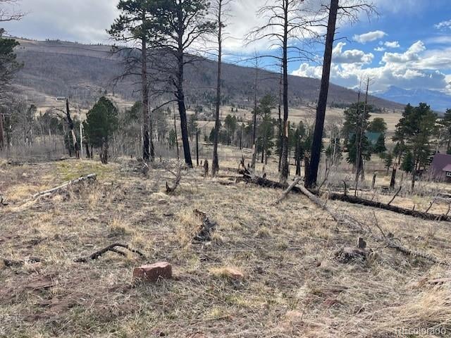 Lot 1020 - 1021 Hassan Ln, Fort Garland, CO 81133