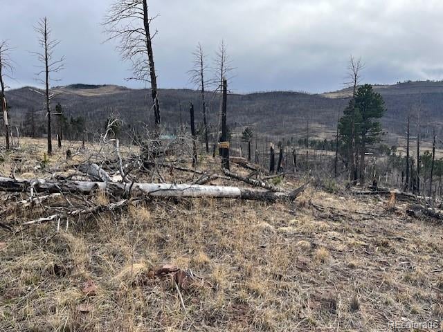 Lot 1020 - 1021 Hassan Ln, Fort Garland, CO 81133