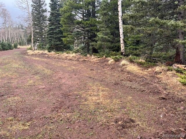 Lot 3091 Sterenson Pl, Fort Garland, CO 81133