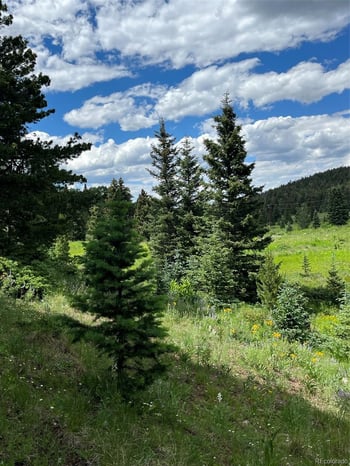 Lot 3091 Sterenson Pl, Fort Garland, CO 81133