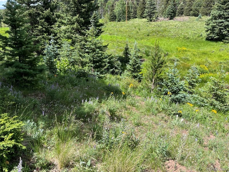 Lot 3091 Sterenson Pl, Fort Garland, CO 81133