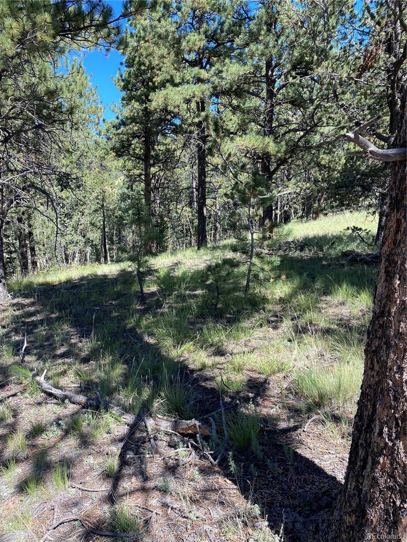 452 Wilson Dr, Florissant, CO 80816
