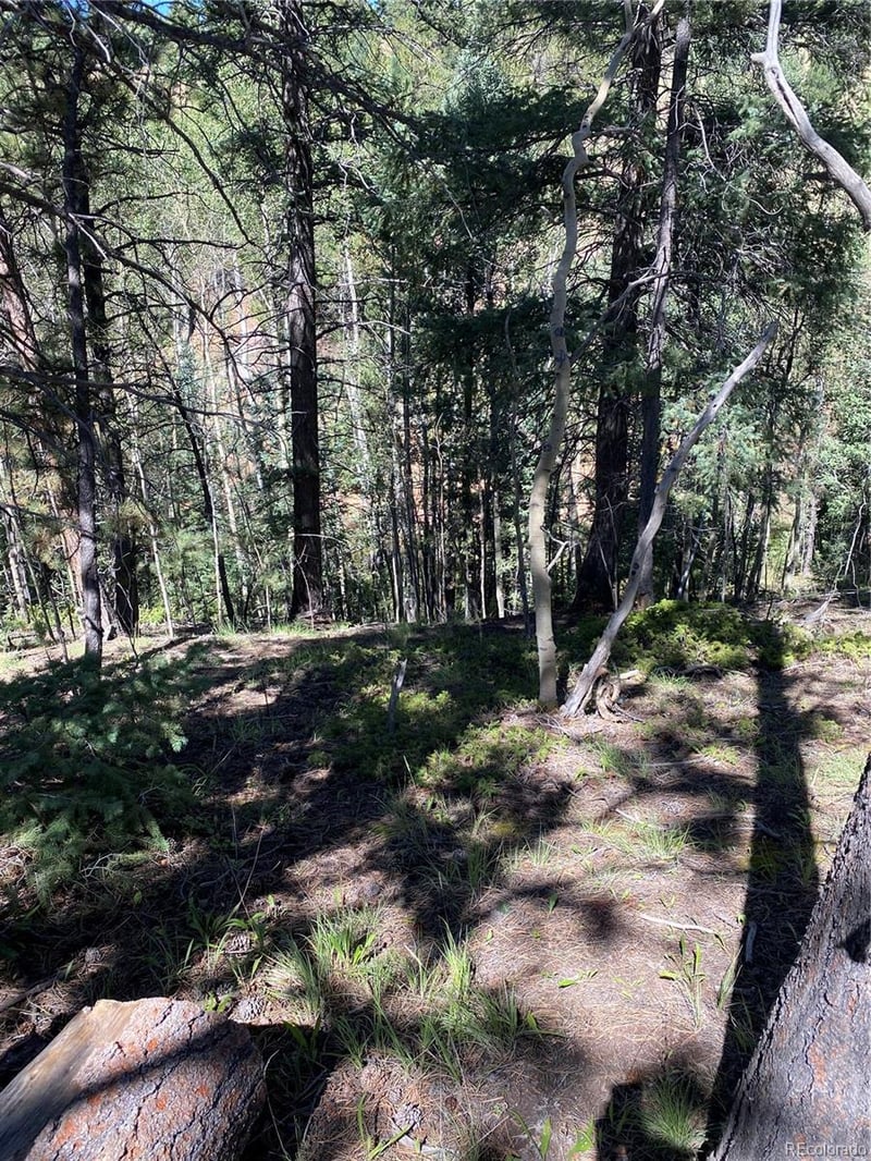 452 Wilson Dr, Florissant, CO 80816