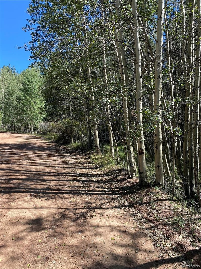 452 Wilson Dr, Florissant, CO 80816