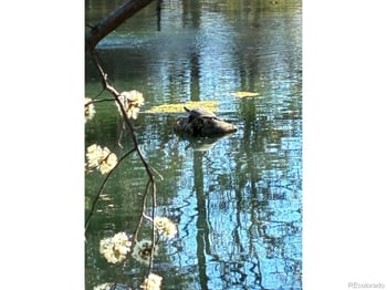 1901 Waters Edge St #E, Fort Collins, CO 80526